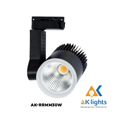 Đèn Rọi Ray Mini 30W